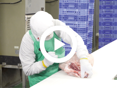 ⑧<ruby>切<rt>き</rt></ruby>れ・こすれ 2